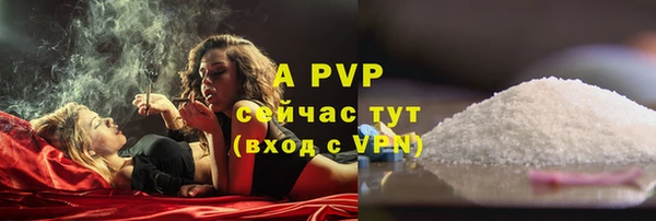 spice Арсеньев