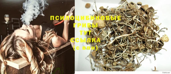 spice Арсеньев