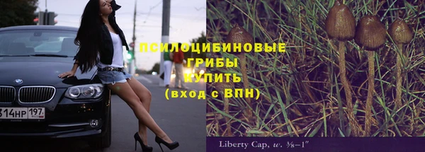 гидра Армянск