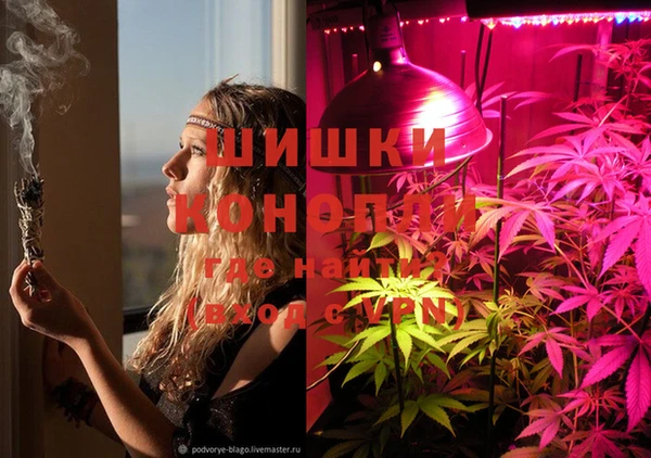 стафф Аркадак