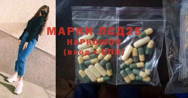 стафф Аркадак
