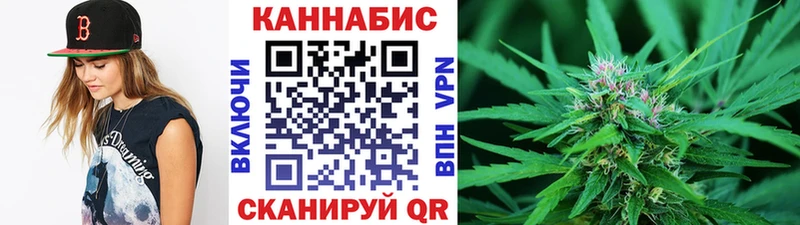 Бошки марихуана Amnesia  Купить закладки  Балей 